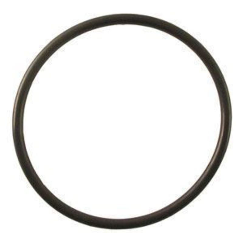 O-Ring | N4736
