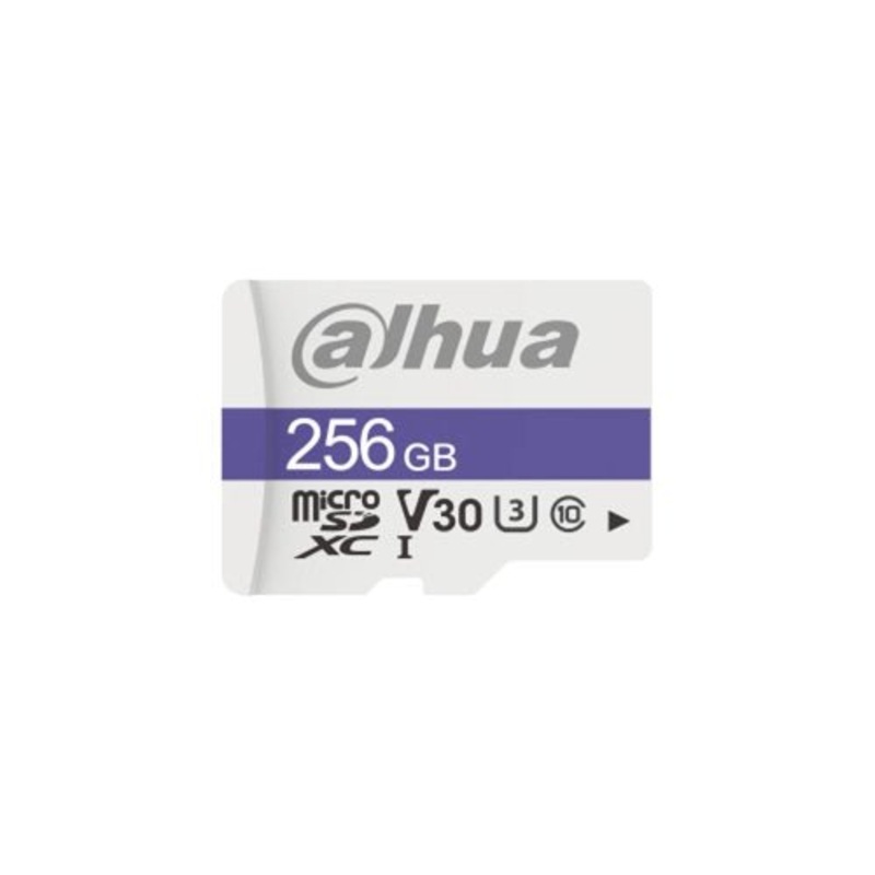 Dahua SD Card 256GB TF-C100/256GB