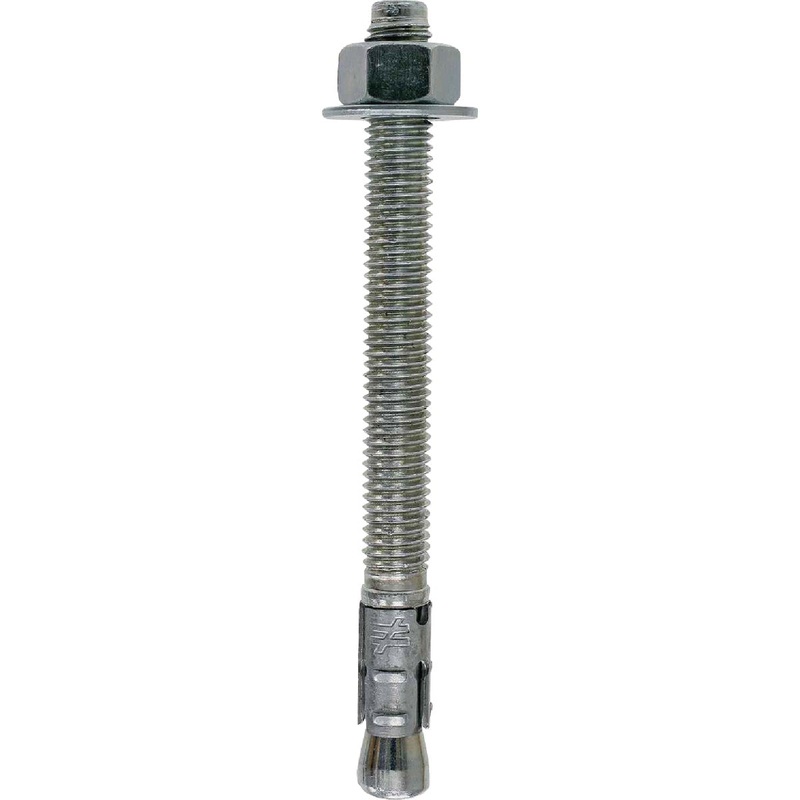 Simpson Strong-Tie Strong-Bolt 2 1/2 In. x 3-3/4 In. Wedge Anchor (10-Count)