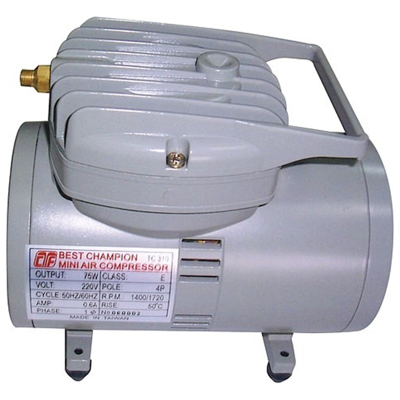 Best Champion TC-310 Mini Air Compressor